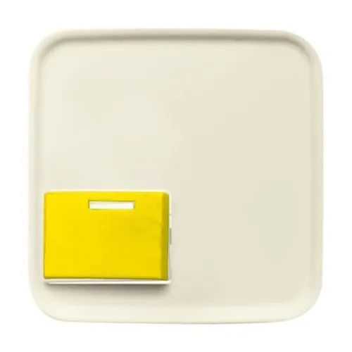 Busch-Jaeger Plaque centrale ws 2548-642 D-212