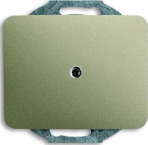 Busch-Jaeger Disque central pall 1742-260