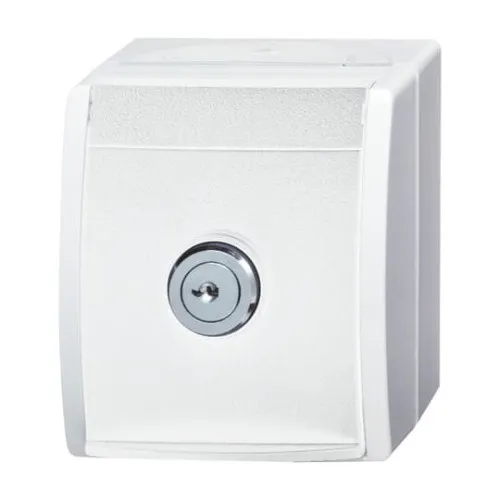 Busch-Jaeger Prise SCHUKO 20 EWSL-101-54