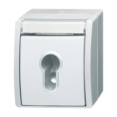 Busch-Jaeger Interrupteur à clé 2733 SLW-54