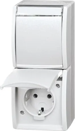 Busch-Jaeger Prise 2x verticale 20-02 EWN-54