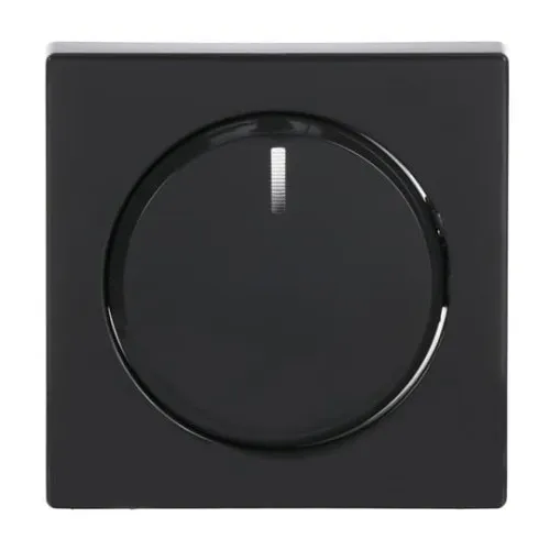 Plaque centrale Busch-Jaeger anthracite 6540-81-102