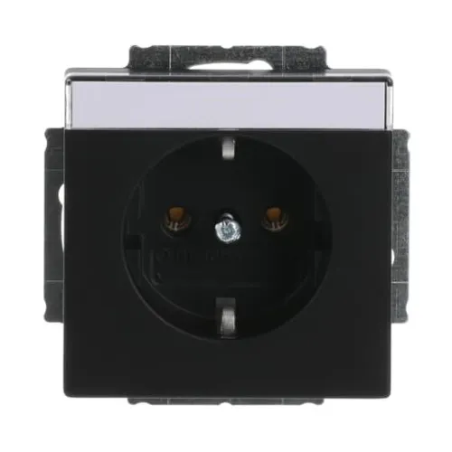 Busch-Jaeger Insert de prise de courant 20 EUN-885