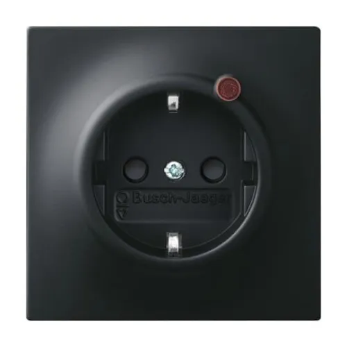 Busch-Jaeger Insert de prise de courant 2310EUGL/VA-775-11