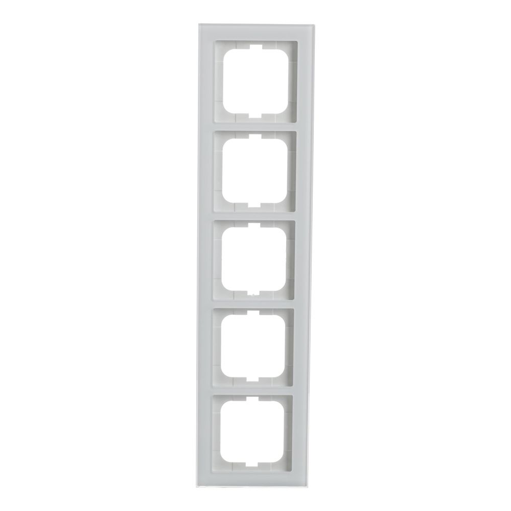 Cadre de finition Busch-Jaeger 5 postes 1725-280 Busch-axcent blanc verre
