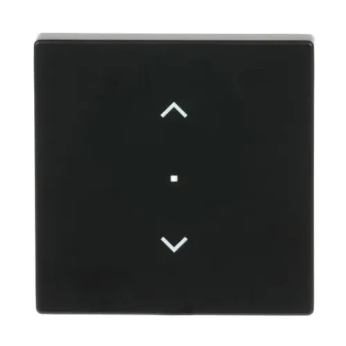 Bascule 1 voie Busch-Jaeger pour store, noir, mate 6232-10-885
