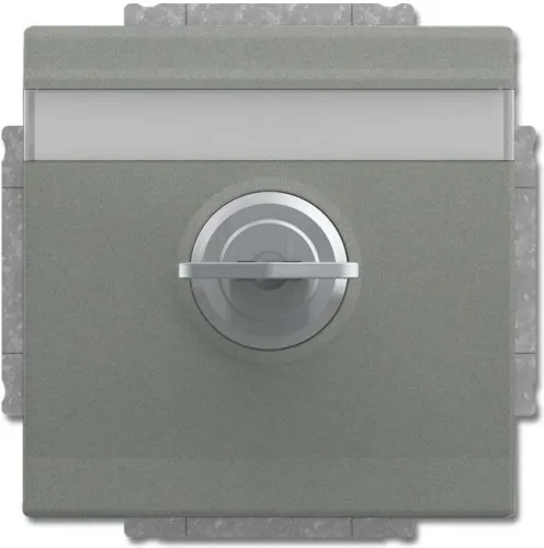 Busch-Jaeger Insert prise SCHUKO 20 EUKNBSL-803