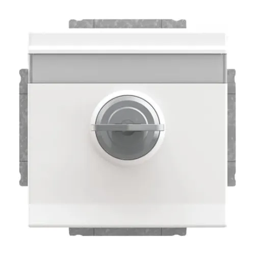 Busch-Jaeger SCHUKO prise encastrée 20 EUKNBSL-84-101
