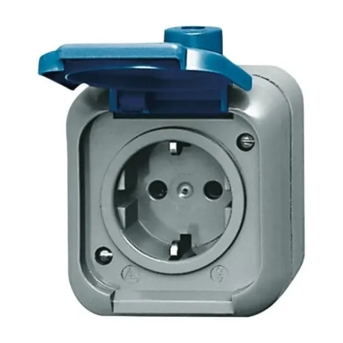 Busch-Jaeger Prise électrique 2300 EWSI