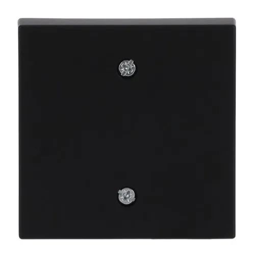 Busch-Jaeger Disque central noir 1796-885