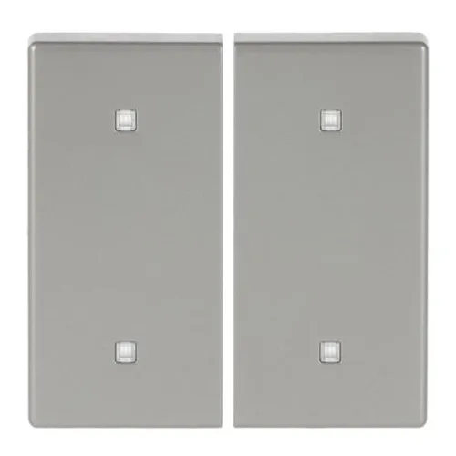 Busch-Jaeger Wippe 2-fach 2570-20-866