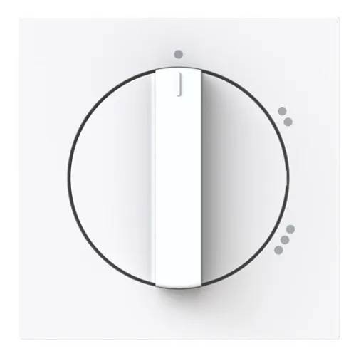 Busch-Jaeger Plaque centrale 2542 DR/02-44G