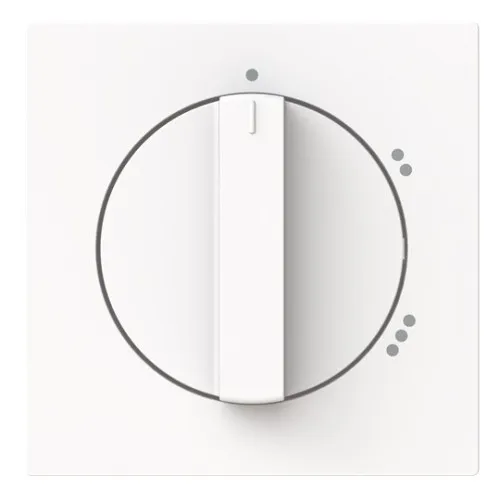 Busch-Jaeger Plaque centrale 2542 DR/02-44M