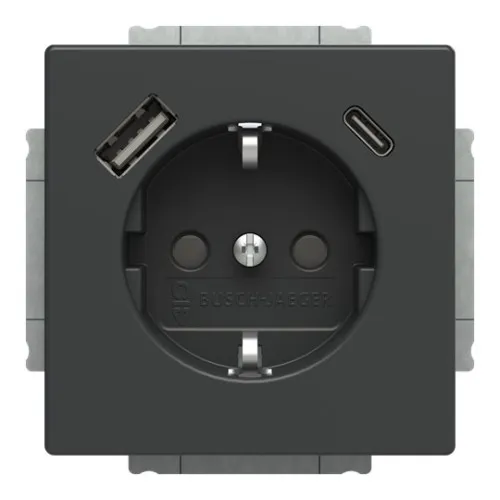 Prise Schuko Busch-Jaeger 20 EUCB2USBAC-81