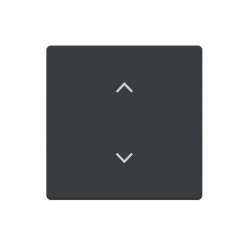 Busch-Jaeger Bascule simple 6735-11-81