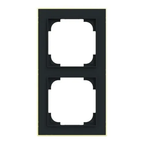 Busch-Jaeger Cadre 2 voies 1722-453M