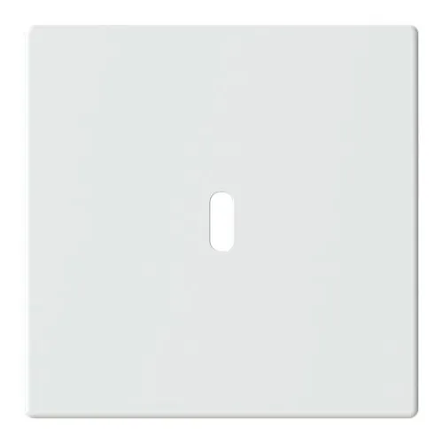 Busch-Jaeger plaque centrale 6479-884