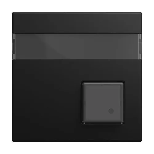 Busch-Jaeger Plaque centrale 1571 CN-915