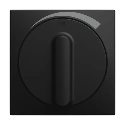 Busch-Jaeger Disque central 1740 DR/03-915