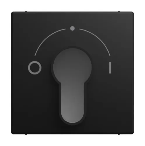 Busch-Jaeger Plaque centrale 2557 SLPZ-915-101