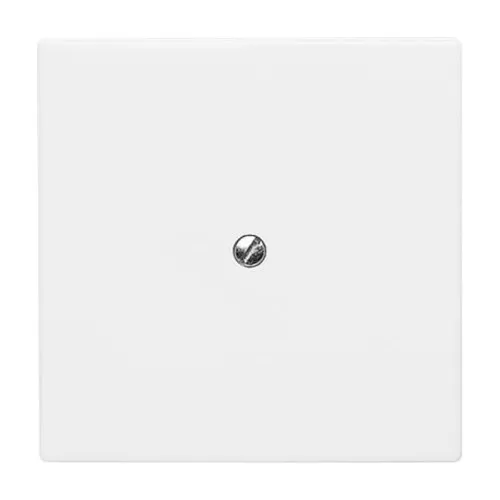 Disque central aveugle Busch-Jaeger aws 2138-34