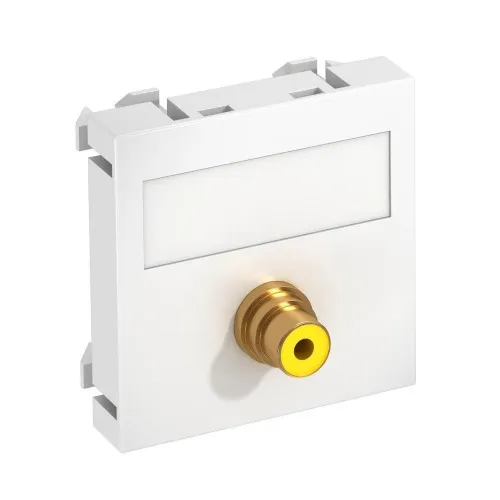 OBO Bettermann Support multimédia MTG-R F RW1
