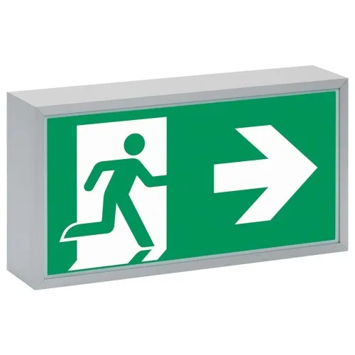 Ceag Notlichtsysteme Lumière de signalisation de secours 71011 LED CG-S