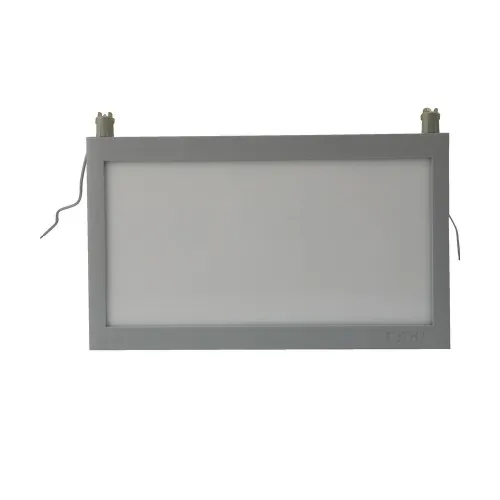 Ceag Notlichtsysteme Piktogrammscheibe 2-seitig 40071354505