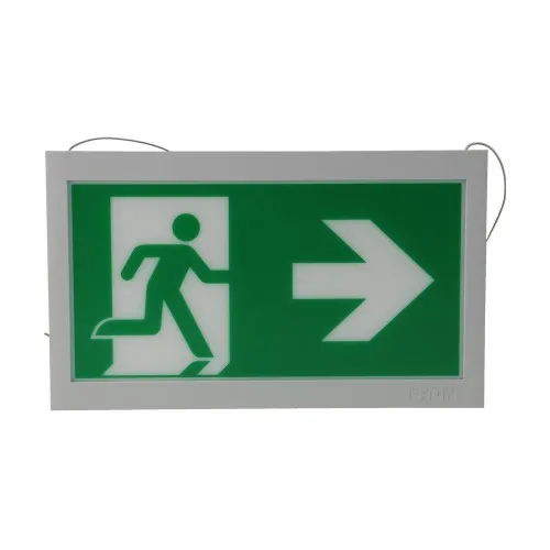 Ceag Notlichtsysteme Piktogrammscheibe 2-seitig 40071354513