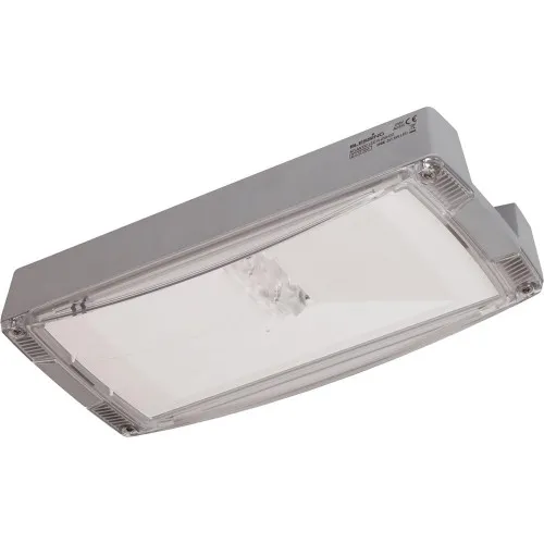 Ceag Notlichtsysteme Sicherheitsleuchte AtlanticLEDLTRCG-S