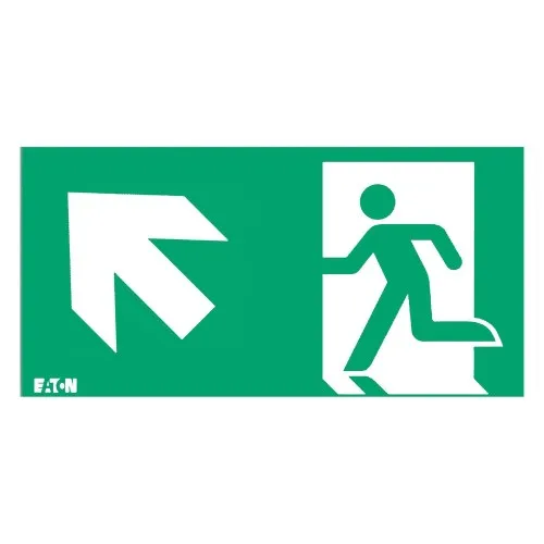 Ceag Notlichtsysteme Piktogramm 40071355302