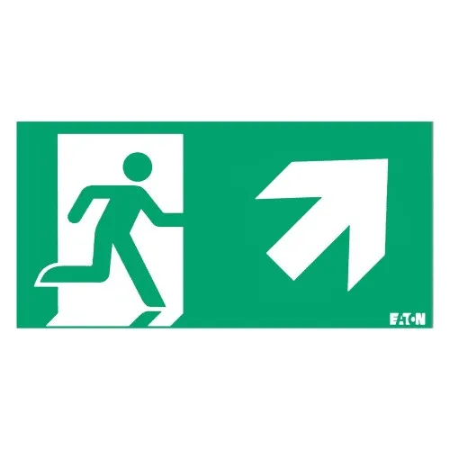 Ceag Notlichtsysteme Piktogramm 40071355303