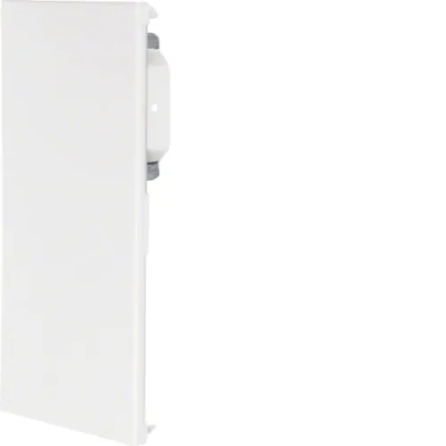 Tehalit Plaque d'extrémité BRS 1002106D verz