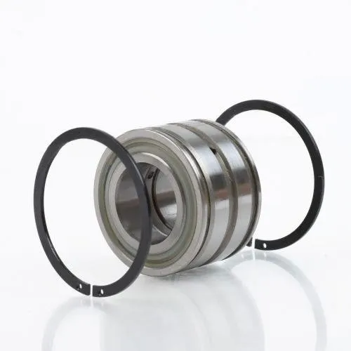 Ina Roulement à rouleaux cylindriques SL045007 -PP-C3