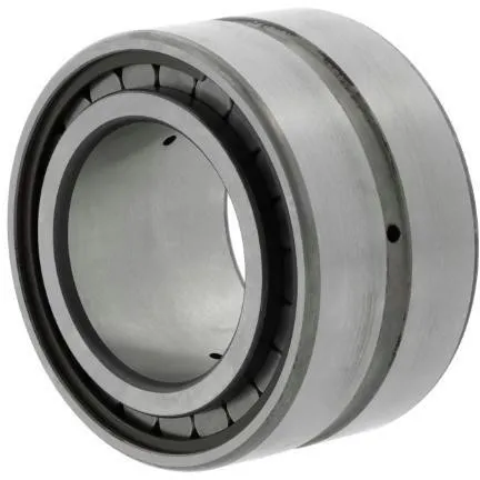 Roulement à rouleaux cylindriques INA SL185014
