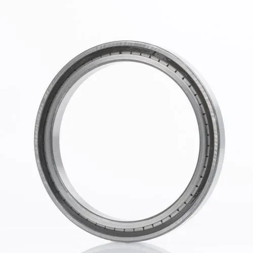 Roulement à rouleaux cylindriques INA SL185012 -C3