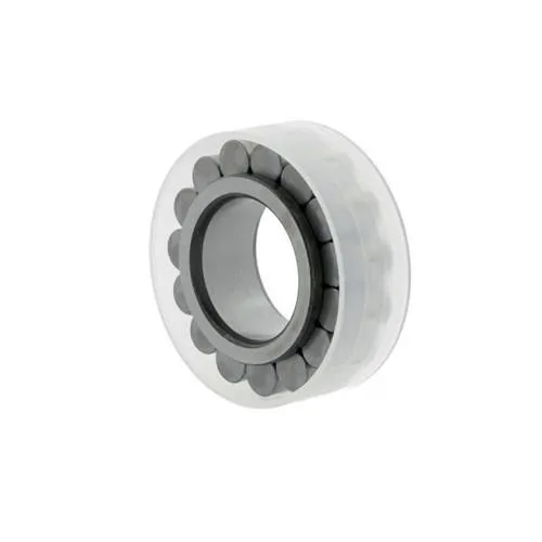 Roulement à rouleaux cylindriques Ina RSL182212
