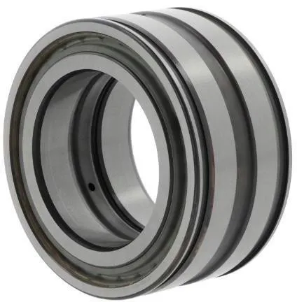 Roulement à rouleaux cylindriques Ina SL045011 -PP-C3 alésage 55 mm, diamètre extérieur 90 mm, largeur 46 mm