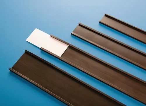 Support d'étiquettes Magnetoplan B.30mm Rouleau-L.50m Ép.1,0mm Profil en C magnétique