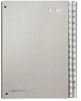 Classeur incliné Pagna 24329-14 DIN A4 1-31 32 compartiments Polypropylène