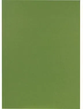 Falken Couverture de dossier 80001167 23x31,8 cm, 250 g, vert - 100 pièces/paquet — lot de 100 pièces