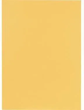 Couverture de classement Falken 80001233 23x31,8 cm 250 g naturel 100 pièces/paquet — lot de 100 pièces
