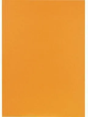 Couvercles de classeurs Falken 80001282 23x31,8 cm 250 g/m² or 100 pièces/paquet