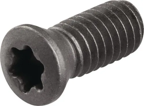 Vis de serrage WS0410 Gr.T15 TECWERK