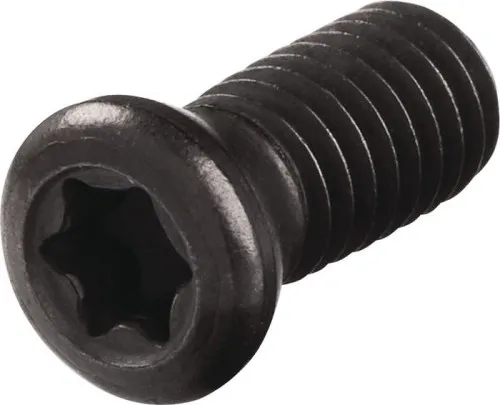 Vis de serrage WS0512 Gr.T20 TECWERK
