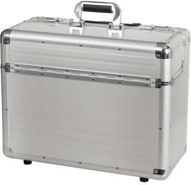 ALUMAXX Valise pilote OMEGA argent jusqu'à 43,2 cm (17 pouces)