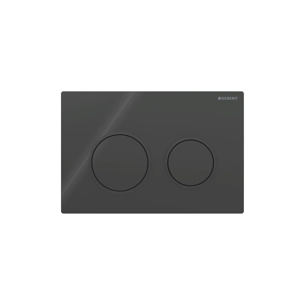 Plaque de commande Geberit Omega20, chasse d'eau à double commande, plastique, noir/mat noir