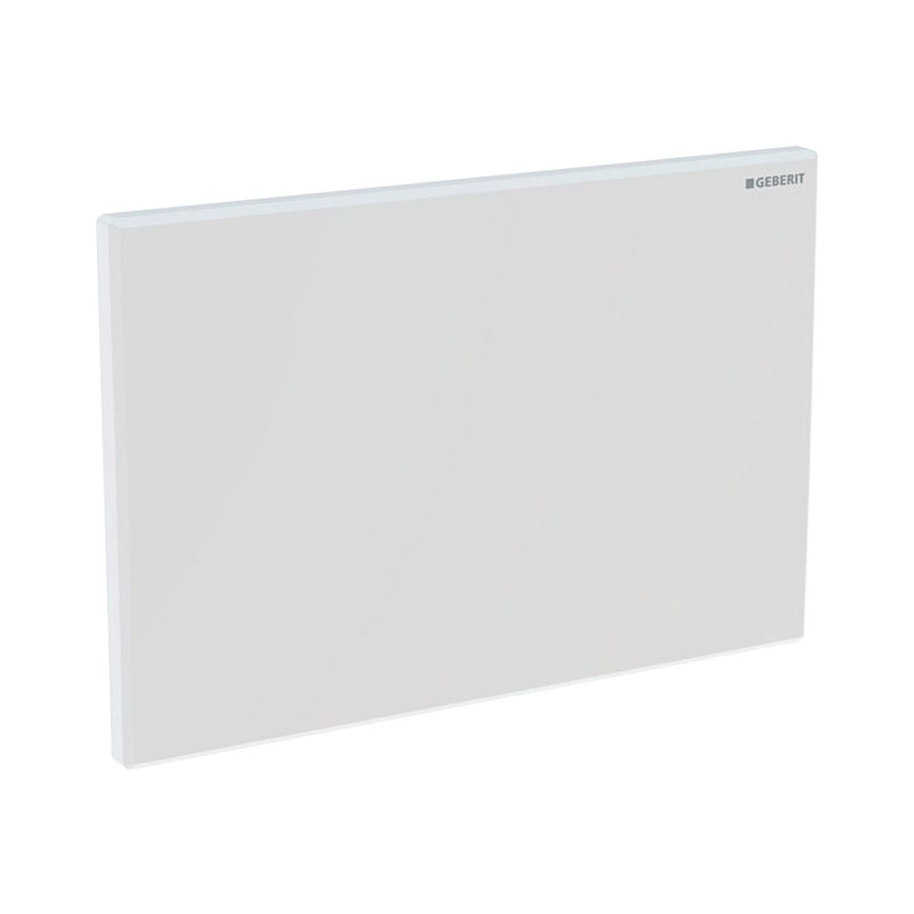 Plaque de recouvrement Geberit pour rinçage hygiénique en plastique, blanc alpin, 616222111