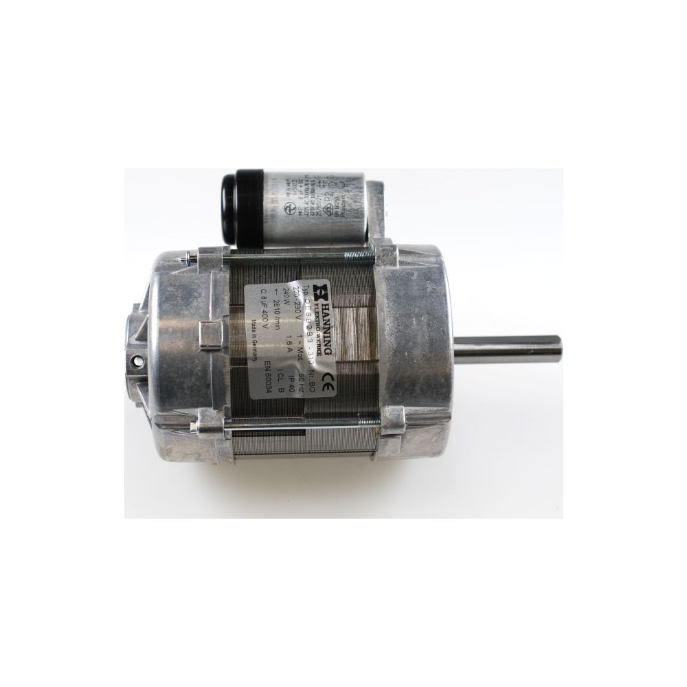 Remko Moteur à brûleur 230V 240W PGT 100, 1108506