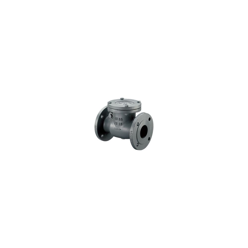 Clapet de non-retour Oventrop DN 65, PN 16, brides selon DIN 2501, fonte grise, 1073051